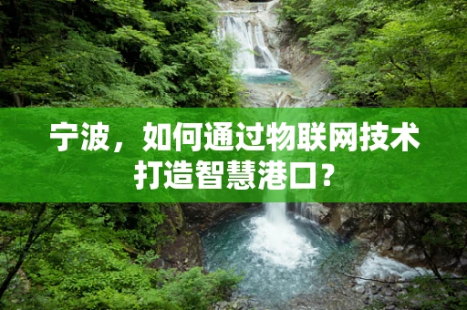 宁波，如何通过物联网技术打造智慧港口？
