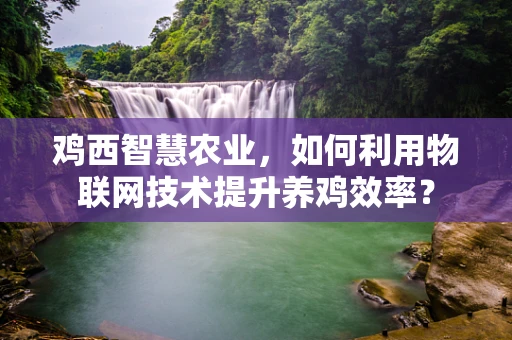 鸡西智慧农业，如何利用物联网技术提升养鸡效率？