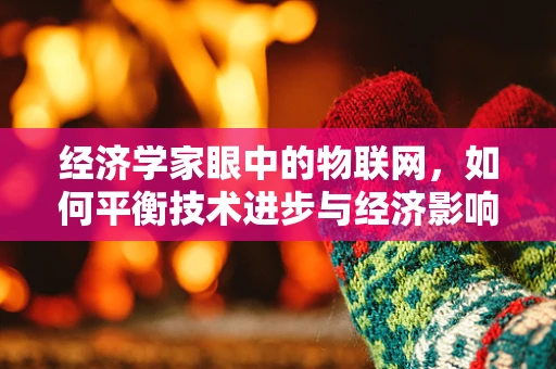 经济学家眼中的物联网，如何平衡技术进步与经济影响？