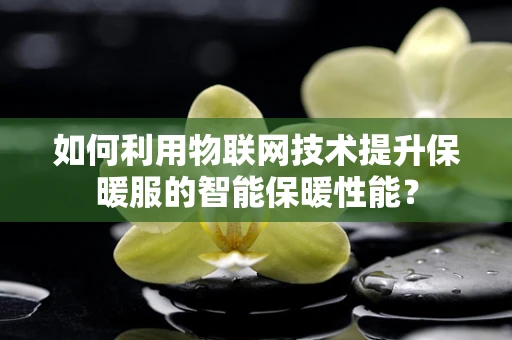 如何利用物联网技术提升保暖服的智能保暖性能？