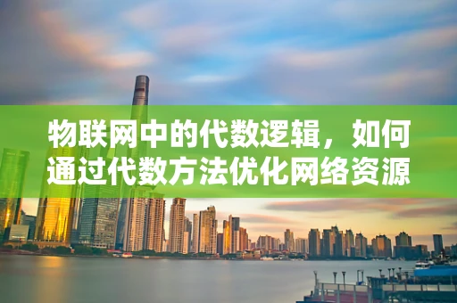 物联网中的代数逻辑，如何通过代数方法优化网络资源分配？