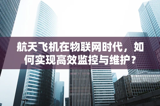 航天飞机在物联网时代，如何实现高效监控与维护？