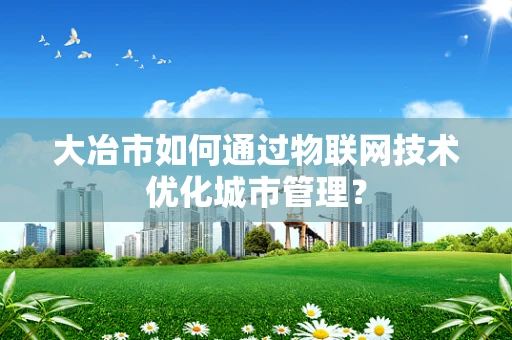 大冶市如何通过物联网技术优化城市管理？