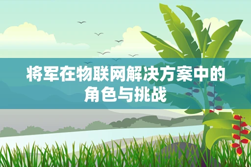 将军在物联网解决方案中的角色与挑战