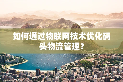 如何通过物联网技术优化码头物流管理？