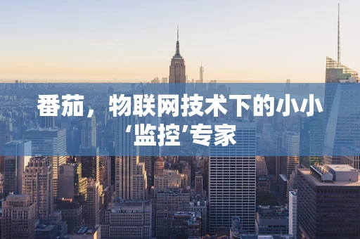 番茄，物联网技术下的小小‘监控’专家