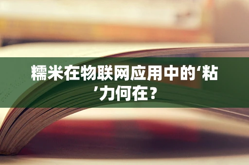 糯米在物联网应用中的‘粘’力何在？