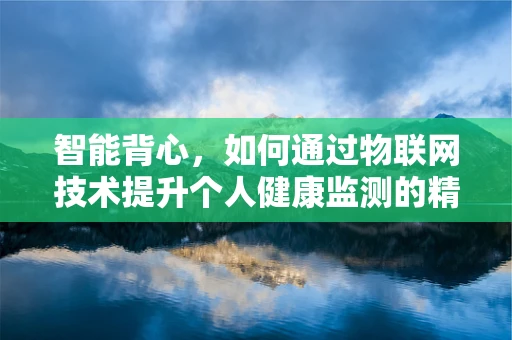 智能背心，如何通过物联网技术提升个人健康监测的精准度？