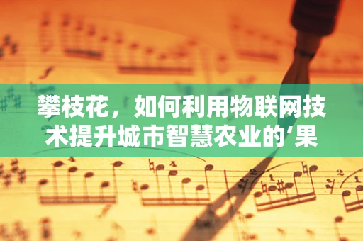 攀枝花，如何利用物联网技术提升城市智慧农业的‘果’效？