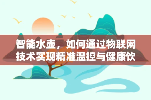智能水壶，如何通过物联网技术实现精准温控与健康饮水？