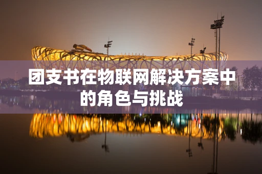团支书在物联网解决方案中的角色与挑战