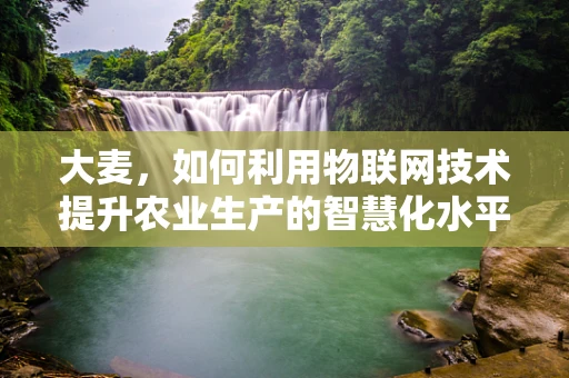 大麦，如何利用物联网技术提升农业生产的智慧化水平？
