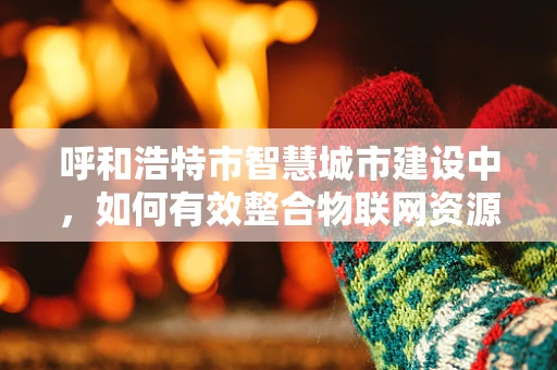 呼和浩特市智慧城市建设中，如何有效整合物联网资源以提升城市管理效率？