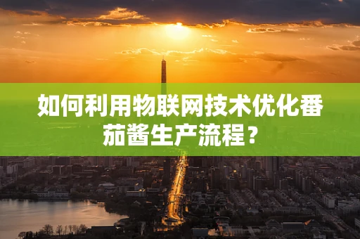 如何利用物联网技术优化番茄酱生产流程？