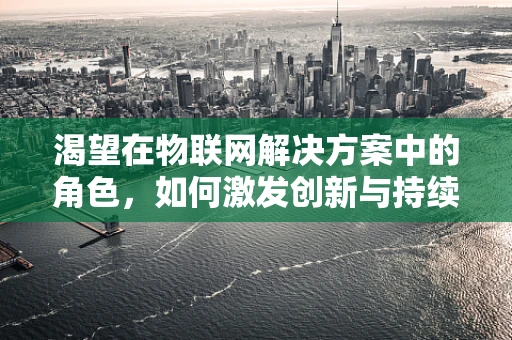 渴望在物联网解决方案中的角色，如何激发创新与持续改进的驱动力？