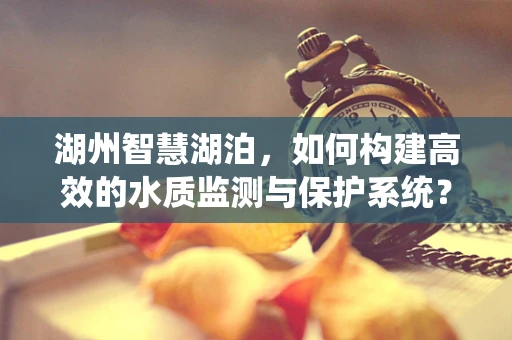 湖州智慧湖泊，如何构建高效的水质监测与保护系统？
