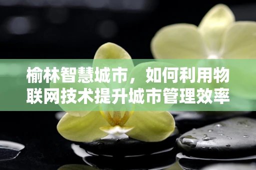 榆林智慧城市，如何利用物联网技术提升城市管理效率？