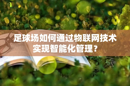 足球场如何通过物联网技术实现智能化管理？