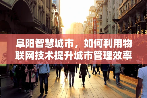 阜阳智慧城市，如何利用物联网技术提升城市管理效率？
