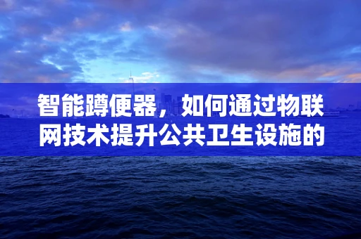智能蹲便器，如何通过物联网技术提升公共卫生设施的体验与效率？