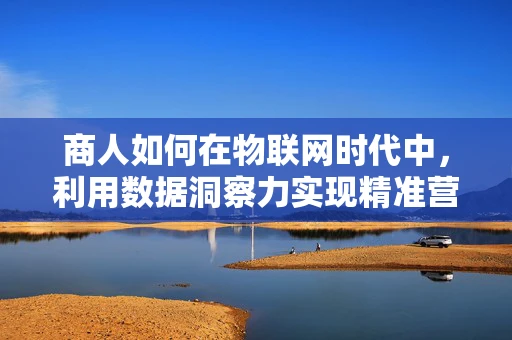 商人如何在物联网时代中，利用数据洞察力实现精准营销？