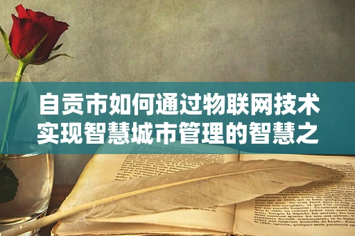 自贡市如何通过物联网技术实现智慧城市管理的智慧之问？