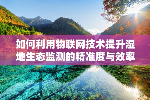 如何利用物联网技术提升湿地生态监测的精准度与效率？