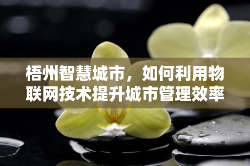 梧州智慧城市，如何利用物联网技术提升城市管理效率？