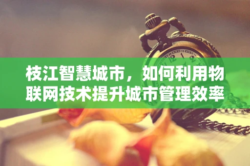 枝江智慧城市，如何利用物联网技术提升城市管理效率？