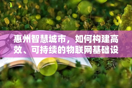 惠州智慧城市，如何构建高效、可持续的物联网基础设施？