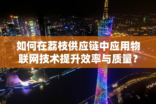 如何在荔枝供应链中应用物联网技术提升效率与质量？