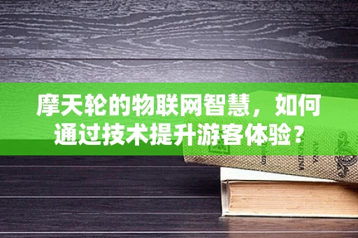 摩天轮的物联网智慧，如何通过技术提升游客体验？