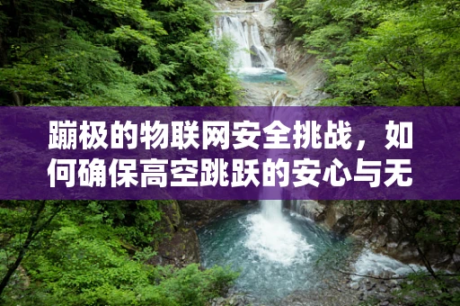 蹦极的物联网安全挑战，如何确保高空跳跃的安心与无忧？
