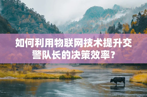 如何利用物联网技术提升交警队长的决策效率？