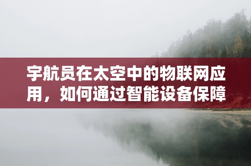 宇航员在太空中的物联网应用，如何通过智能设备保障其安全与健康？
