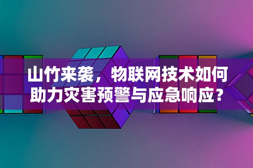 山竹来袭，物联网技术如何助力灾害预警与应急响应？