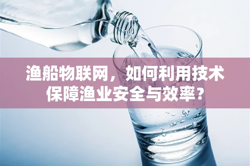 渔船物联网，如何利用技术保障渔业安全与效率？