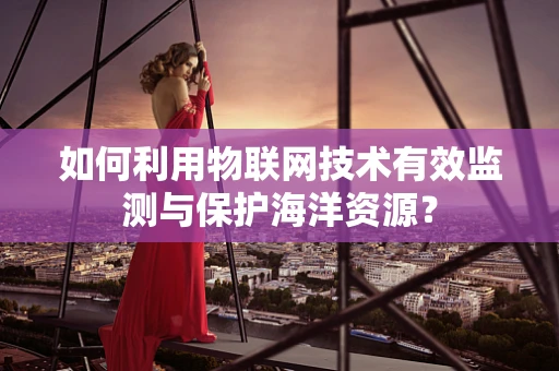 如何利用物联网技术有效监测与保护海洋资源？