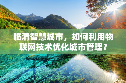 临清智慧城市，如何利用物联网技术优化城市管理？