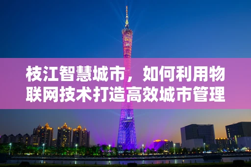 枝江智慧城市，如何利用物联网技术打造高效城市管理？
