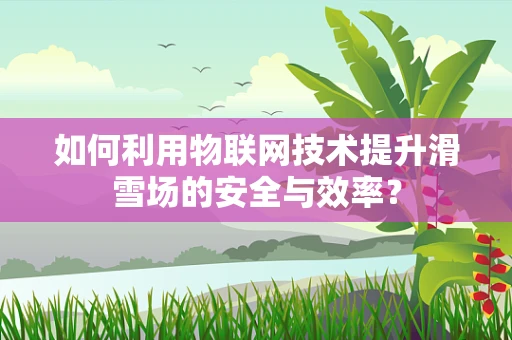 如何利用物联网技术提升滑雪场的安全与效率？