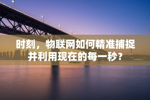 时刻，物联网如何精准捕捉并利用现在的每一秒？