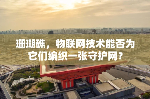 珊瑚礁，物联网技术能否为它们编织一张守护网？