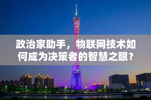 政治家助手，物联网技术如何成为决策者的智慧之眼？