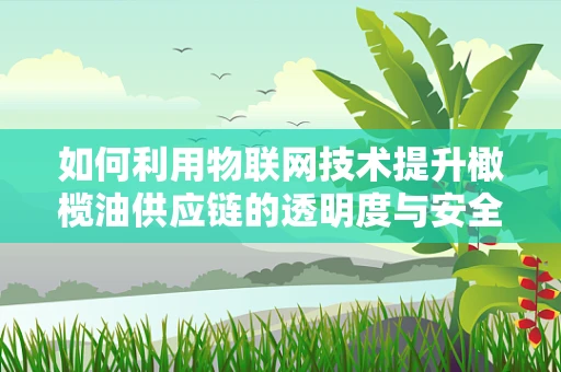 如何利用物联网技术提升橄榄油供应链的透明度与安全性？
