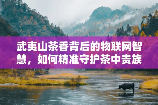 武夷山茶香背后的物联网智慧，如何精准守护茶中贵族的成长？