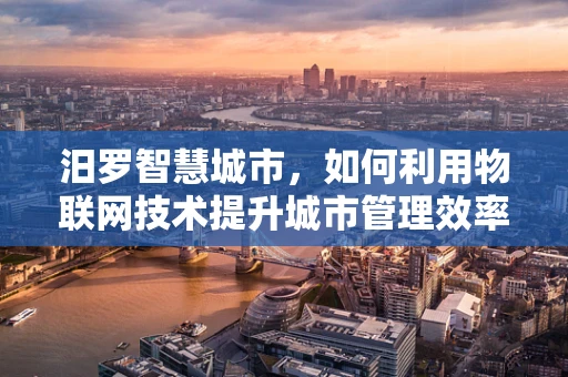 汨罗智慧城市，如何利用物联网技术提升城市管理效率？