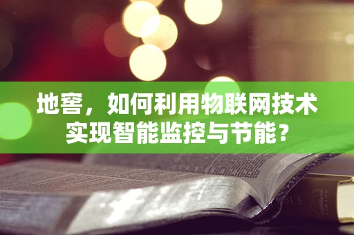 地窖，如何利用物联网技术实现智能监控与节能？