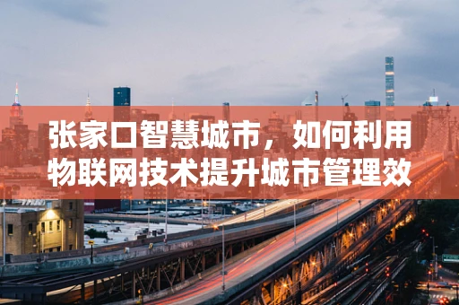 张家口智慧城市，如何利用物联网技术提升城市管理效率？