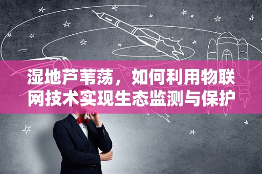 湿地芦苇荡，如何利用物联网技术实现生态监测与保护？